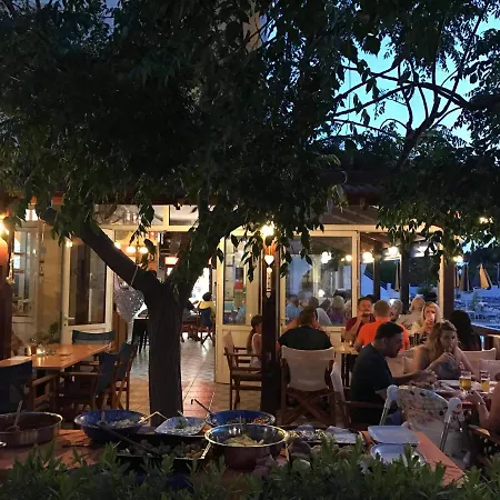 Chrysanthi And Pefkos