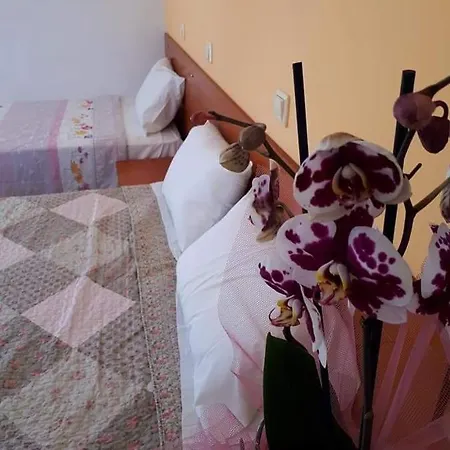 Chrysanthi And Pefkos Pefki