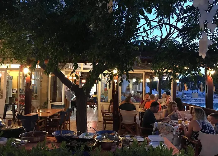 Chrysanthi And Pefkos